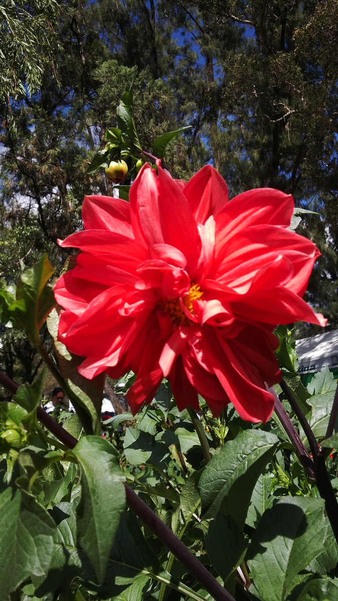 mydecemberstar's tweet image. A Blessed Sunday!! #FirstOfFebruary #Baguio #enjoyeverydayhappiness #blessed #grateful :)