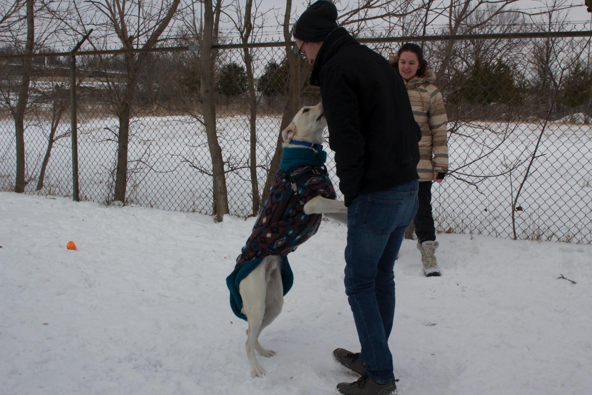 Rotaract Club Guelph (@guelph_rotaract) on Twitter photo Today we volunteered at <a href="/GuelphHumane/">Guelph Humane Society</a>! We had loads of fun playing with animals and cleaning up after them! Today we volunteered at <a href="/GuelphHumane/">Guelph Humane Society</a>! We had loads of fun playing with animals and cleaning up after them!