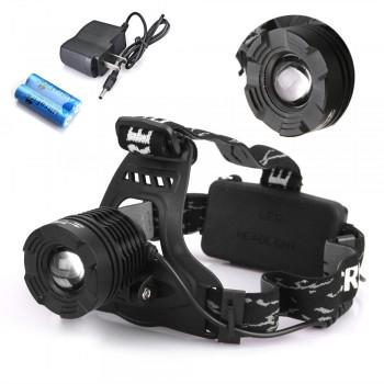 Annette Lawless 🌻 tweet media