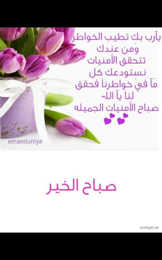 محمد (@mahmd131) on Twitter photo 
