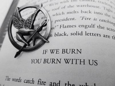 Rosalbatch's tweet image. Let me be your Mockingjay.