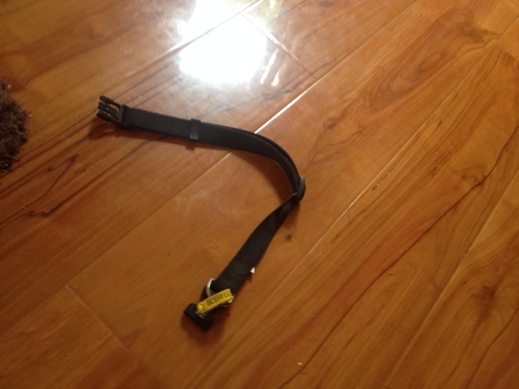 rayhorne71's tweet photo. #blackdog had a big night #naked http://t.co/RwdYXAHACq