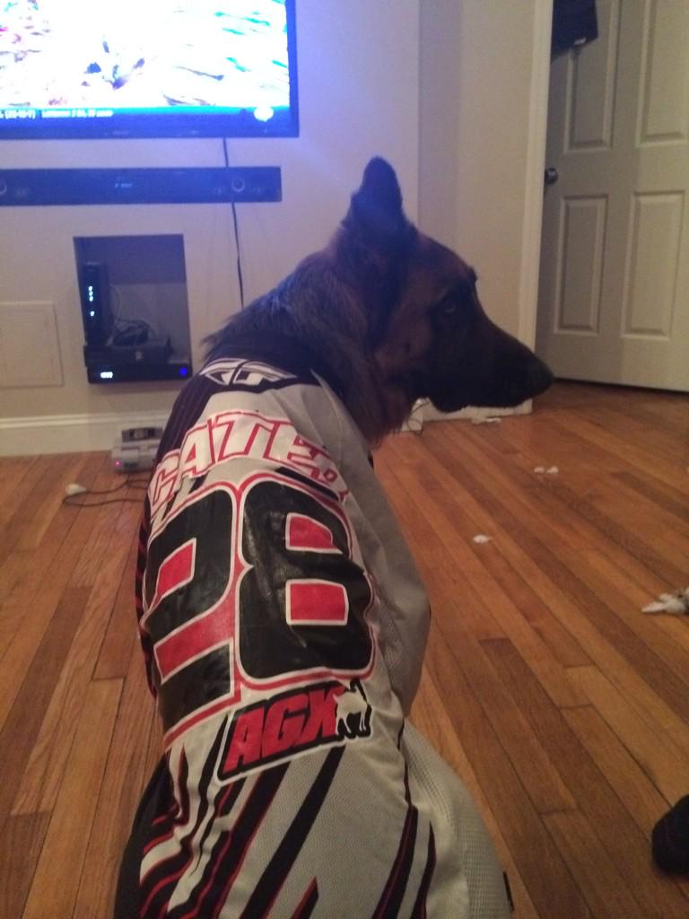 Olivia Mode-Cater tweet media