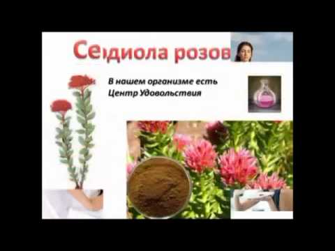 mindwarzblog's tweet image. #Body #BrainAnatomicalStructure #HealthIndustry # ПРОДЛИ СВОЮ ЖИЗНЬ ...  mindwarz.com/%d0%9f%d0%a0%d… http://img.you ...