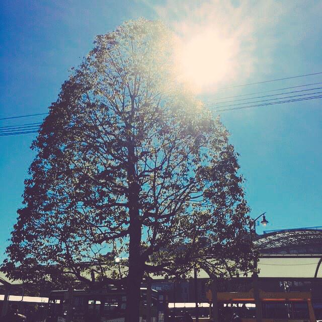 MMinicamera's tweet photo. 写真日和
#イマソラ 
#photo日和 
#mysky http://t.co/rtCRTtNko4
