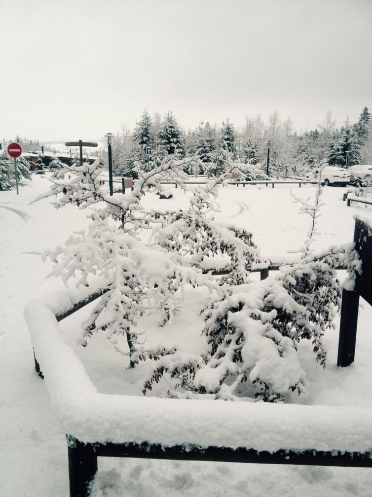 <a href="/CP_troisforets/">CP</a> <a href="/centerparcsfr/">Center Parcs France</a> #hiver #vacances Vives les vacances sous la neige