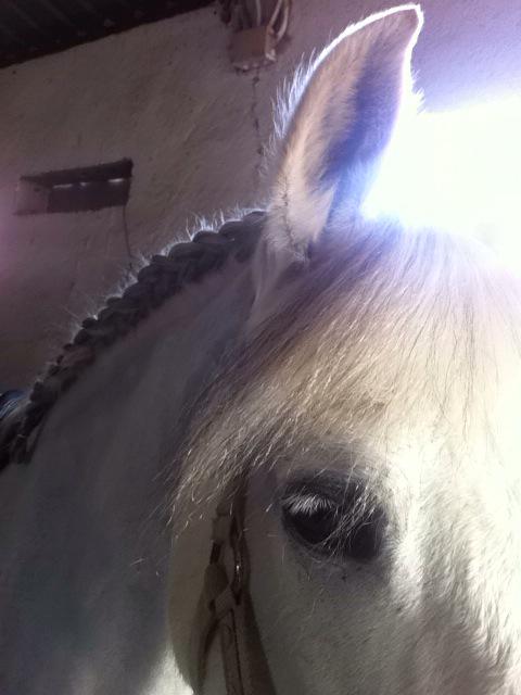 Si sabes que puedes, puedes