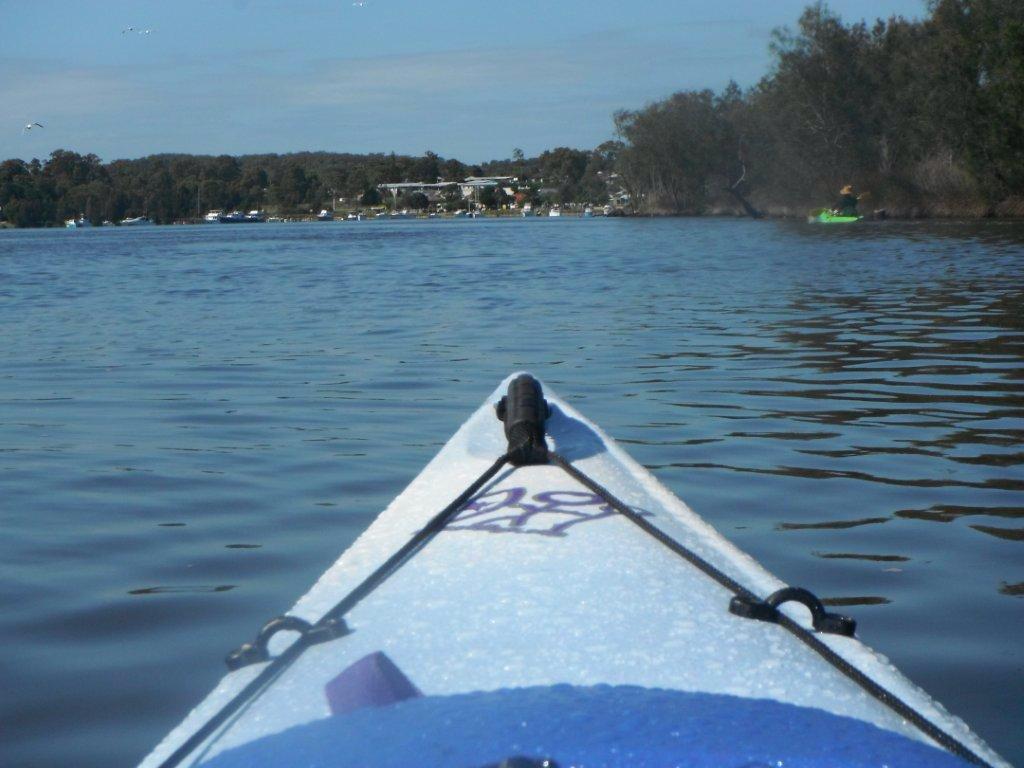Newy Traveller tweet media