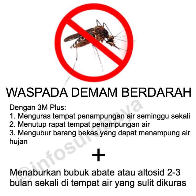 Musim hujan dengan udara lembab waspada demam berdarah dengue (DBD) yg disebabkan oleh gigitan nyamuk aedes aegypti.