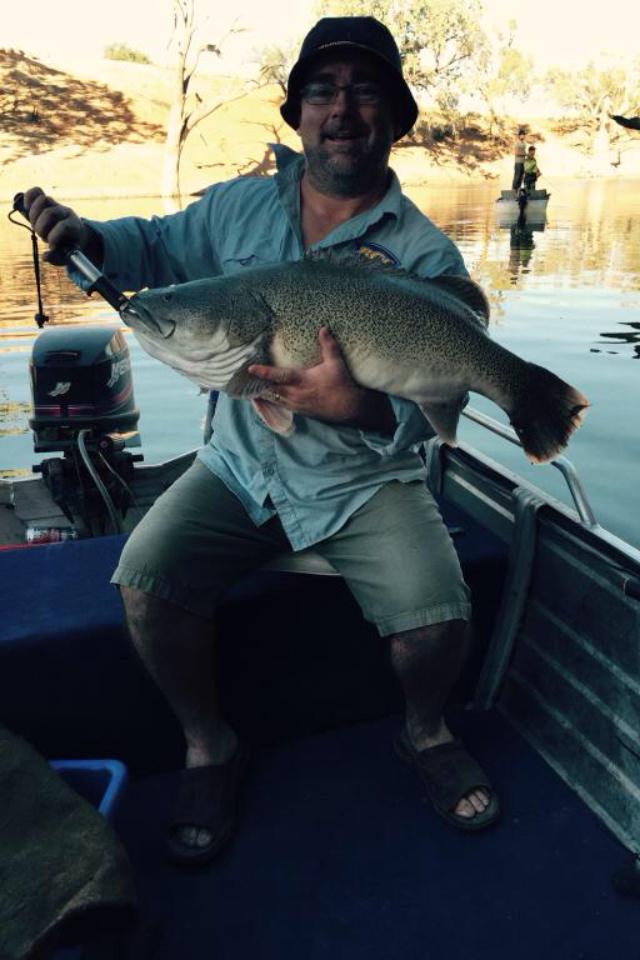 shocking1805's tweet image. Couple of nice cod I caught over the weekend at Menindee! #lovemyfishing #menindee