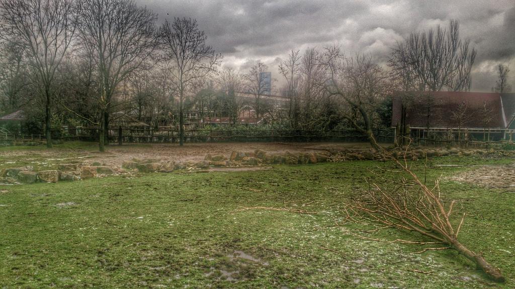En van @JDeCologne. <a href="/RotterdamZoo/">Diergaarde Blijdorp</a> zonder beestjes :) #Zoo #Rotterdam
