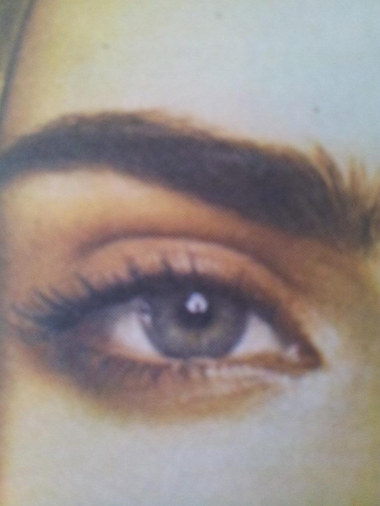 theajansen1's tweet photo. WAUW wat een BRAUW!   http://t.co/s8qVNt4sJh http://t.co/JrO41rnObI