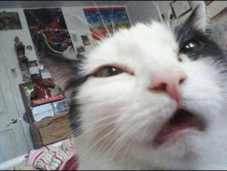 catshatemath's tweet photo. Check out 'Selfish' by Cats Hate Math
http://t.co/2mL28sfhWo http://t.co/QfKy5zmdJx