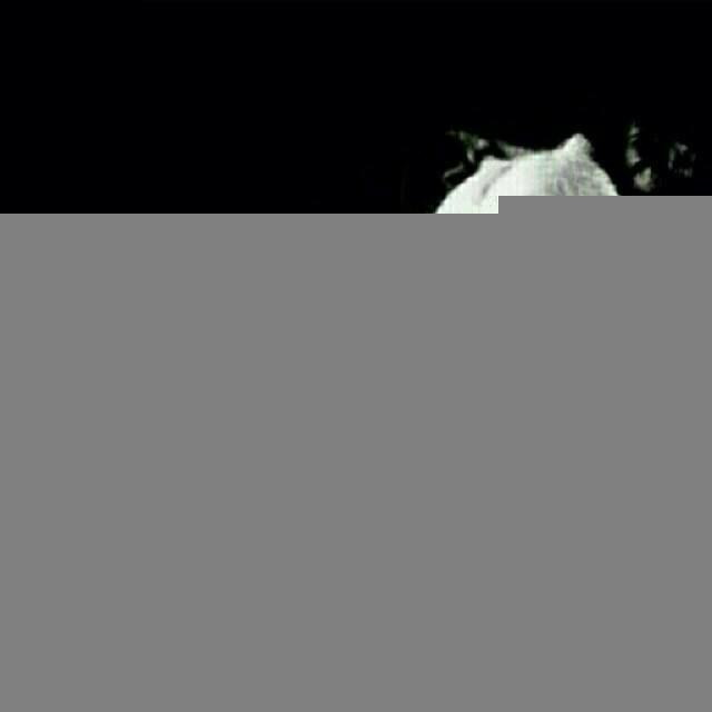 Miko Fajar Redo tweet media