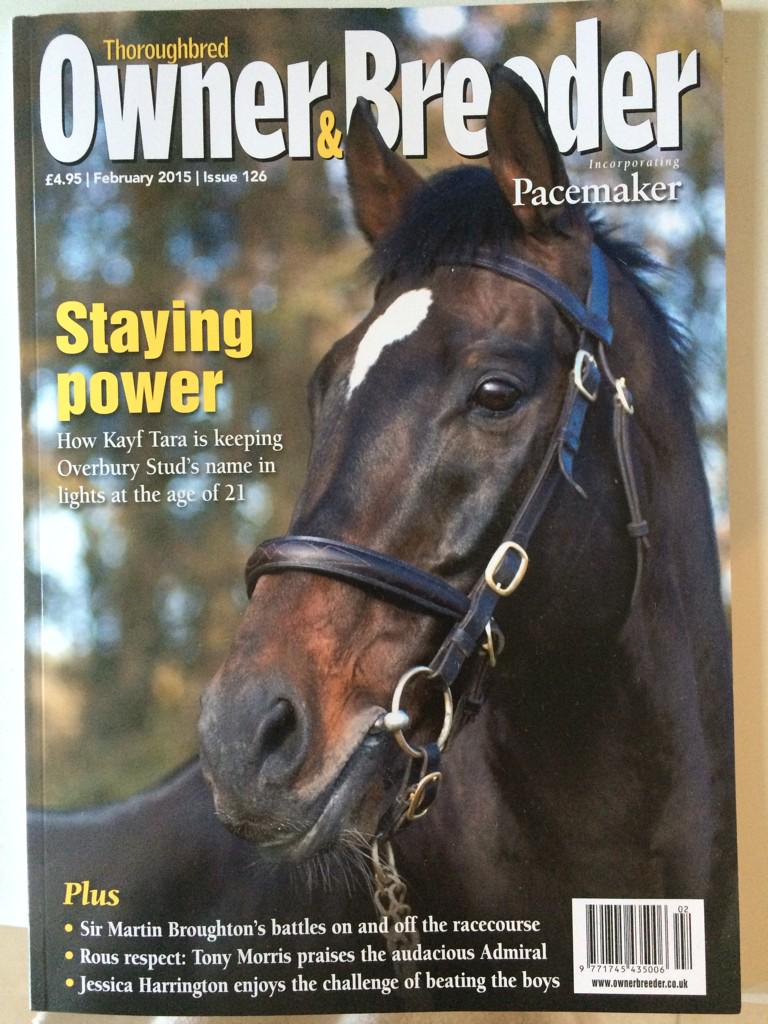 amandabossom's tweet photo. Great to see @OverburySires resident #kayftara as cover boy for this months @OwnerBreeder #justintimeforvalentines http://t.co/S9xr4tJvwR