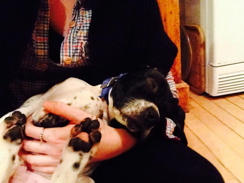 DesignEyesinter's tweet image. Happy lazy Sunday!