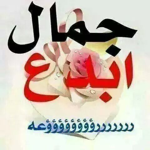 ffrfs's tweet photo. @wird5005aleise3 http://t.co/S2Gzut3NDK