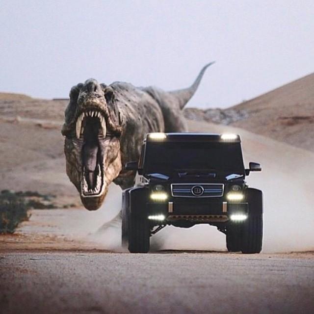 GotFuckin's tweet photo. #play with #rex #run #crazy #pet #car #4x4 #dope #whynot #amazing #cool #awesome #lifestyle #picoftheday #photoofth… http://t.co/AXo85meHwP