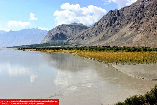 VisionWeekly's tweet photo. @MSharifKhattak MT “@Beauty_Pakistan: #Indus River and trees in the deserts of #Skardu http://t.co/iWbOENnTqq” #BeautifulPakistan #Tourism