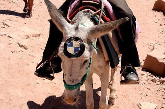 “<a href="/HamzaEL/">Oom Hamza</a>: <a href="/Aittouzin/">Verwijdert</a> beter haal je deze bmw ” Hoeveel heeft ie gelopen?