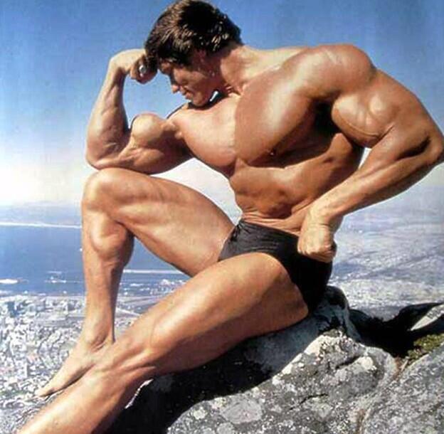 FifthDivisionFA's tweet photo. #ArnoldSchwarzenegger #TheLegend http://t.co/utYyd1vEHJ