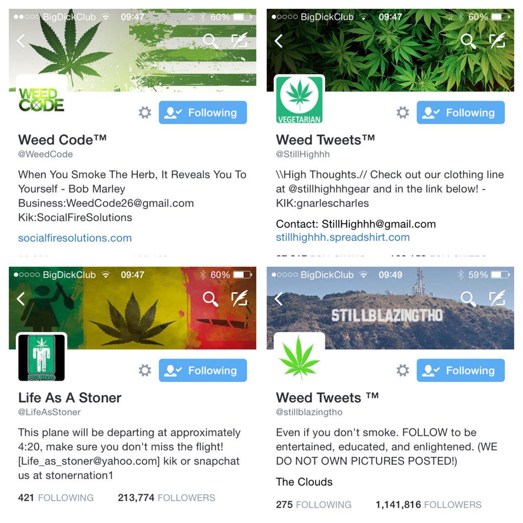 'Smokes weed once at a party' Starter Pack