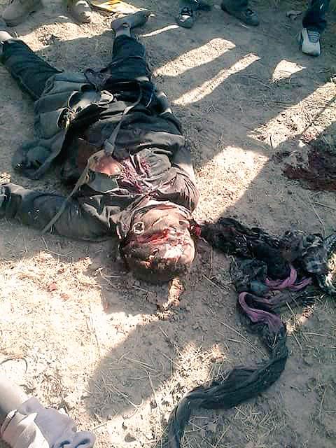 Embedded image permalink