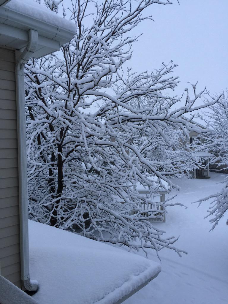 KimberMidnigh's tweet photo. #abc7chicago - Romeoville, IL http://t.co/O1JkZsKNMX