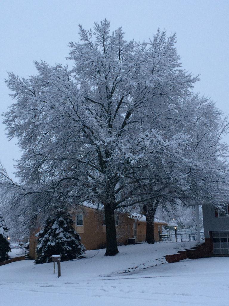 NevilleKMBC's tweet image. Thanks, Beth! RT @ezbeesolutions: @NevilleKMBC @JanaCorrieKMBC  happy snowy superbowl Sunday ! #weatherbugbeth