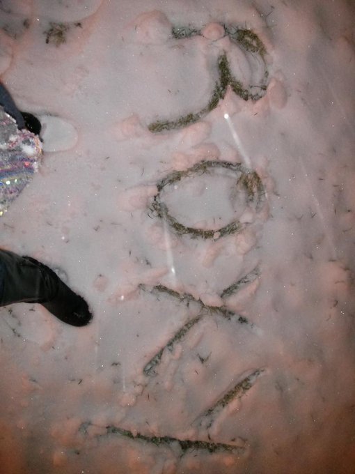 Loving this #snowstorm in #Chicago right now. Going to try and do a video or pics in it tomorrow :-)<a href="/tag/snowstorm"class="tags">#snowstorm</a><a href="/tag/chicago"class="tags">#Chicago</a>