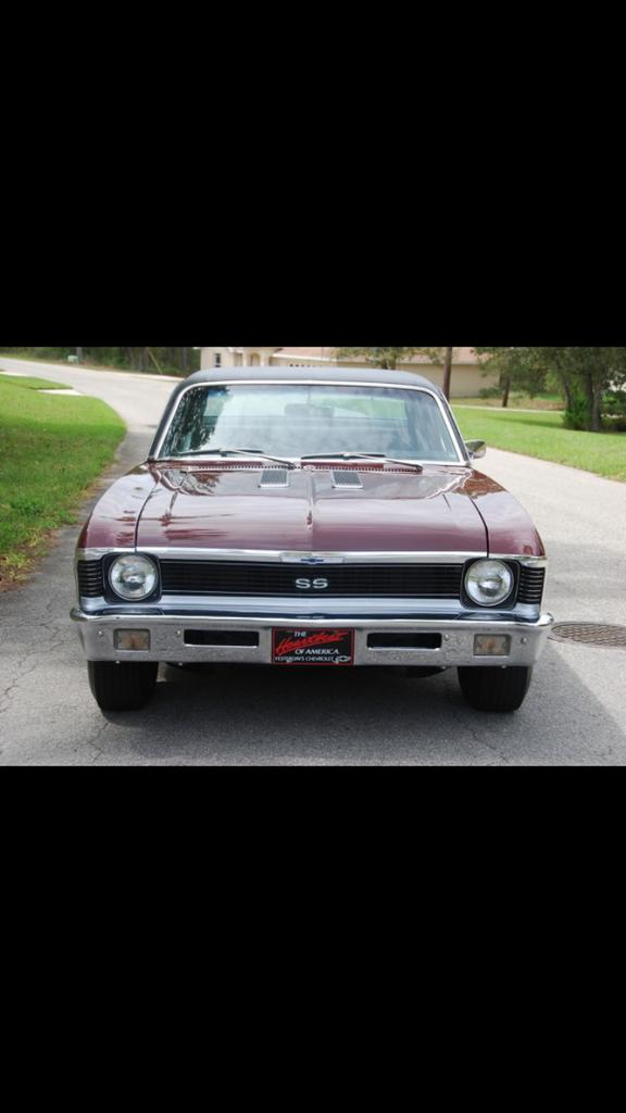 Muscle Cars tweet media