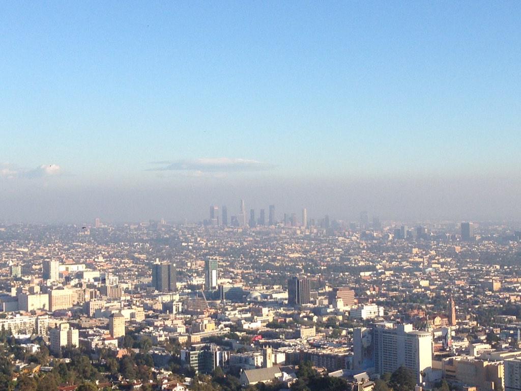 Irene López tweet media