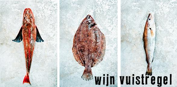 Vis moet zwemmen, maar waarin? <a href="/ellenvandewijn/">ellen dekkers</a> geeft advies! bit.ly/1608XAi