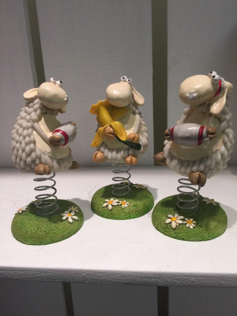Darrelwalters's tweet photo. Oggy Oggy Oggy!
Oi Oi Oi!
Oggy Oggy Oggy!
Oi Oi Oi!
Oggy!

Oggy!
Oi!
Oggy Oggy Oggy!
Oi Oi Oi! http://t.co/TeTwHWJzfQ