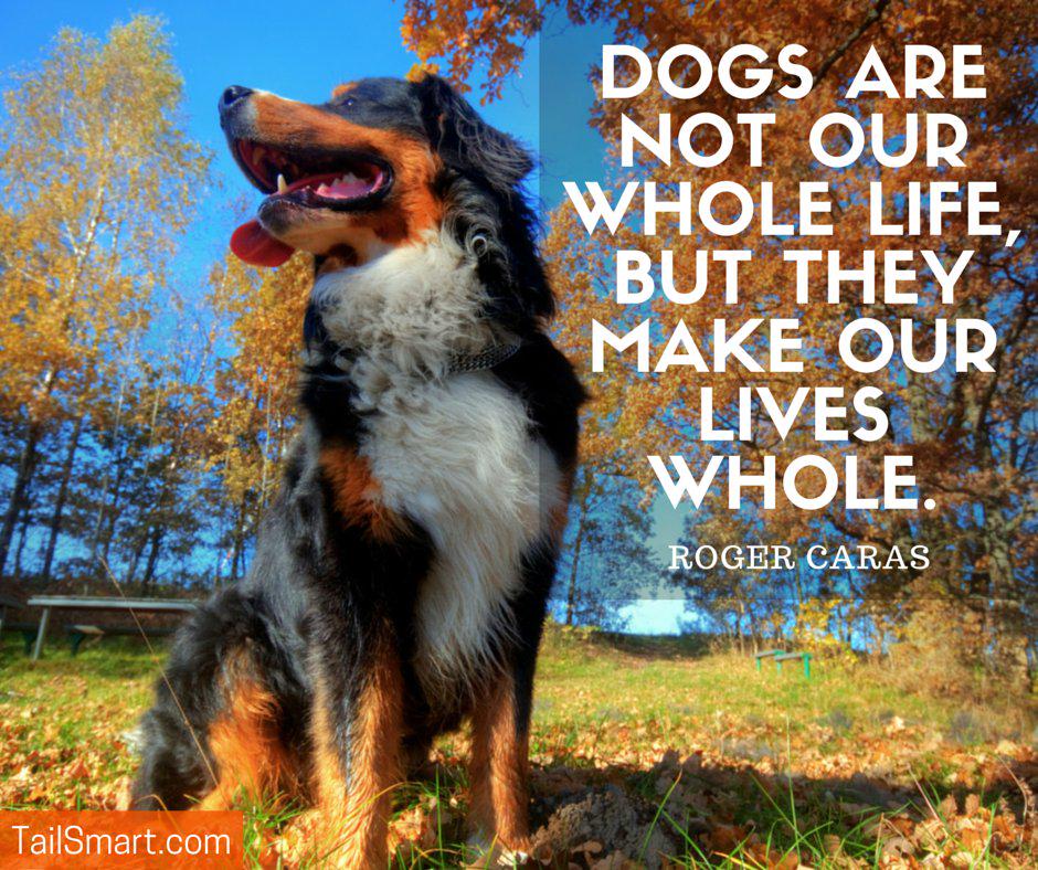 tailsmart's tweet photo. Great #quote!  Retweet if you agree. #dogs http://t.co/yZVe2dgOUV