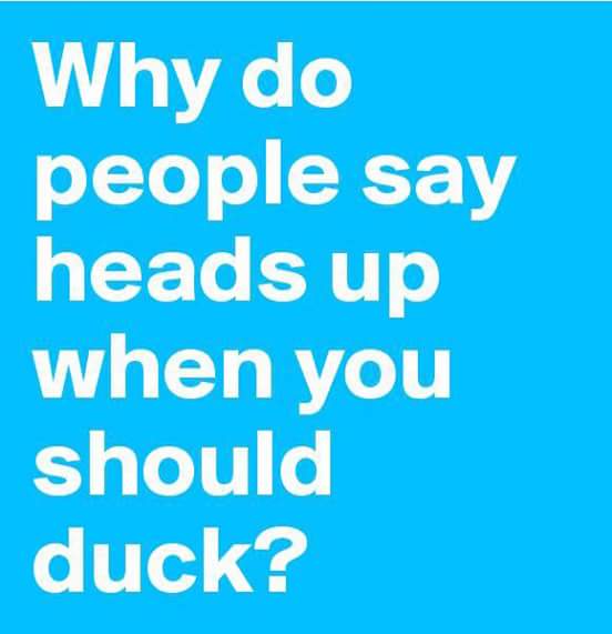 zappafaye's tweet image. #ValidQuestion