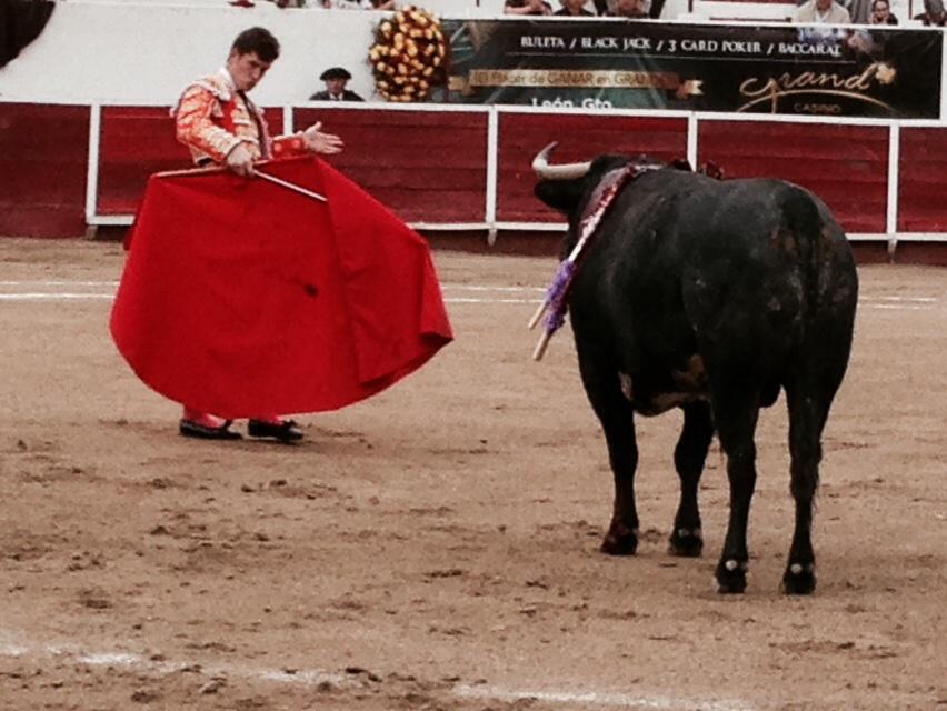 acirfiestabrava's tweet photo. 1º Leon @InfoDanielLuque Oreja @etmsaoficial @FITauromaquia @serialtaurinole http://t.co/ePFQAzK3y1