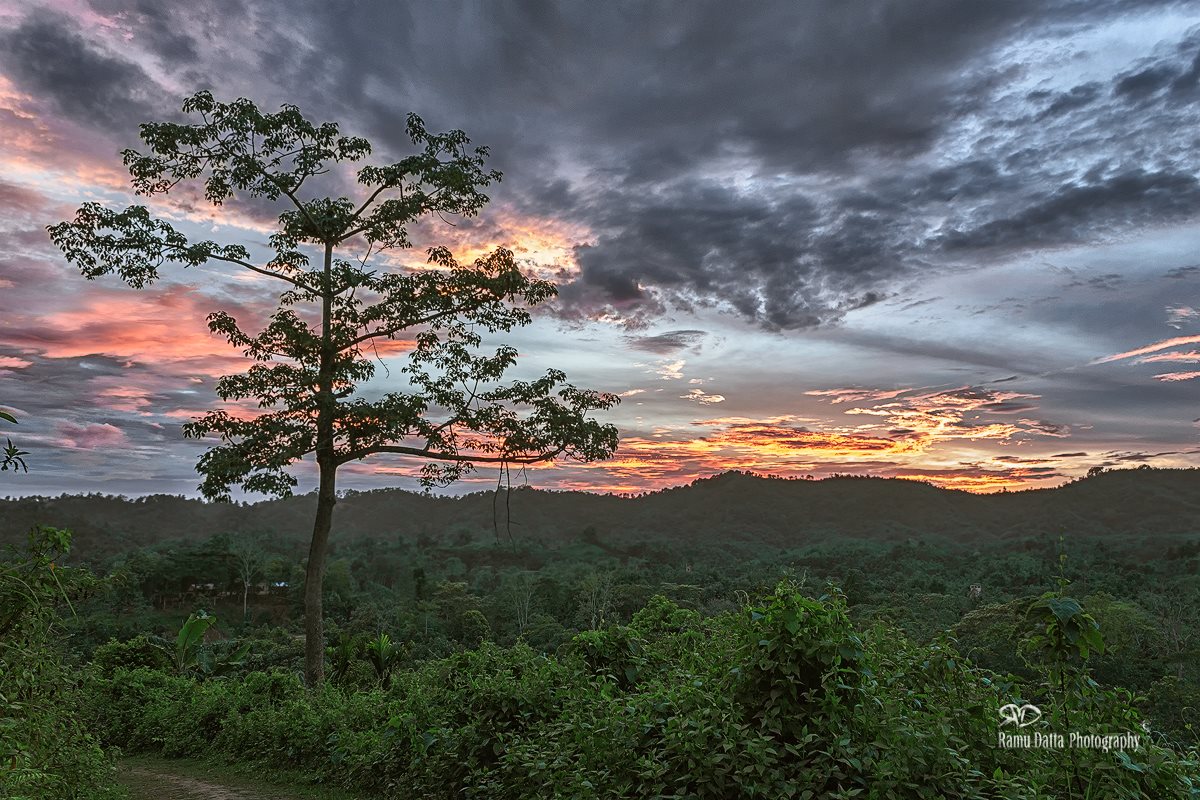 Assam is one among the Seven Sister states"" in #India. #TravelFacts "