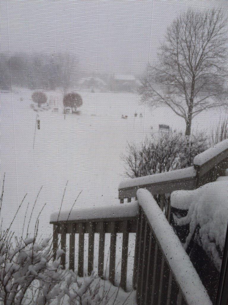 TurnsAlex tweet picture