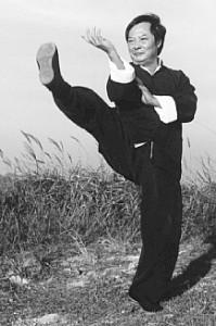 rollinghands's tweet image. Short Article on Wing Chun Body Structure (Part I)
goo.gl/uaM2Xx