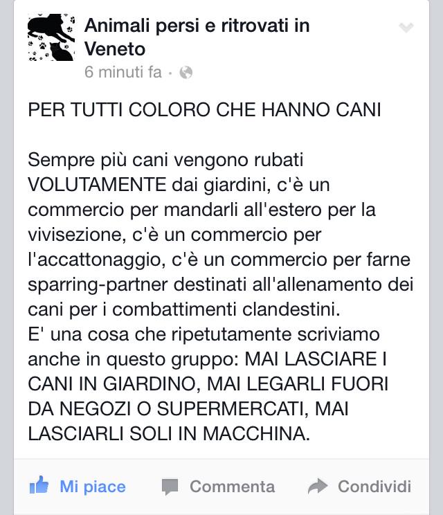 canismarriti's tweet photo. Importantissimo. Fate girare. #canismarriti http://t.co/yq5N3dOu5a