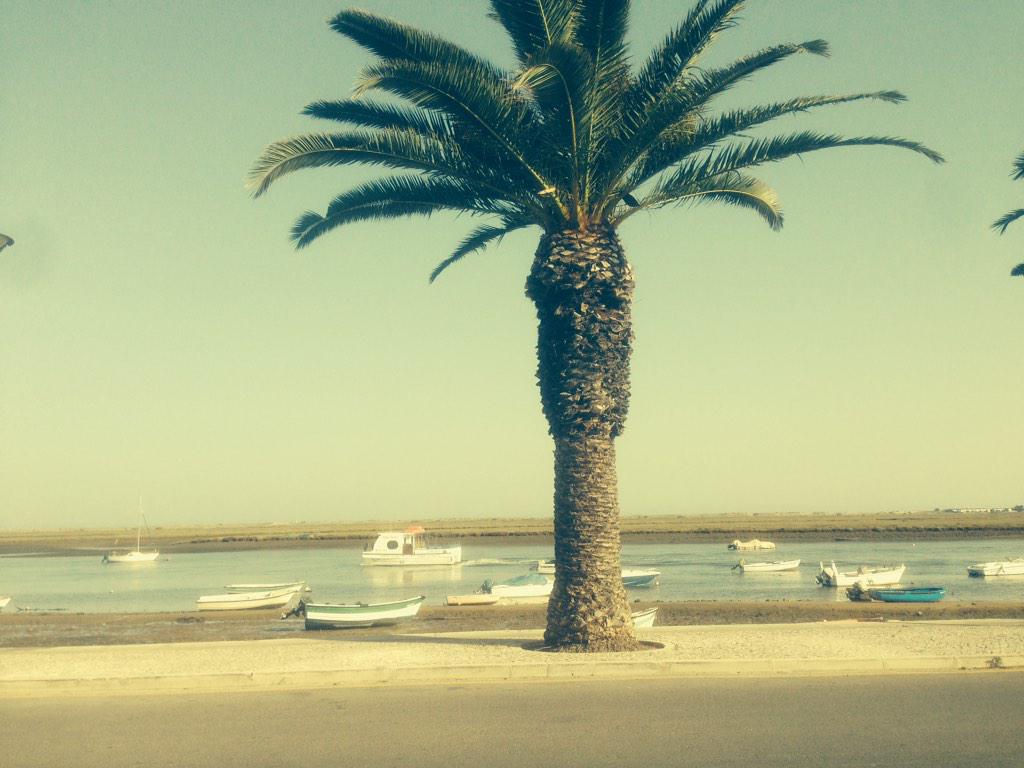 Picturay's tweet photo. Santa Luzia! #Portugal #holiday #wonderful #algarve #sun #palmtrees #mustsee #traveltips @turismo_algarve http://t.co/jBdqoP5H4Q