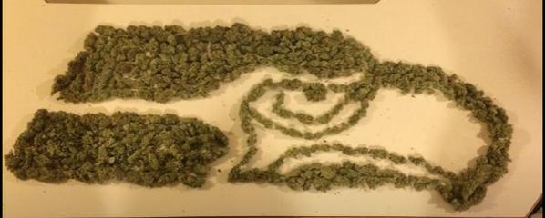 brgridiron's tweet photo. A Seahawks fan made the team logo out of weed because of course http://t.co/Fb7ouX7B3P http://t.co/ahn5Ik26Xm