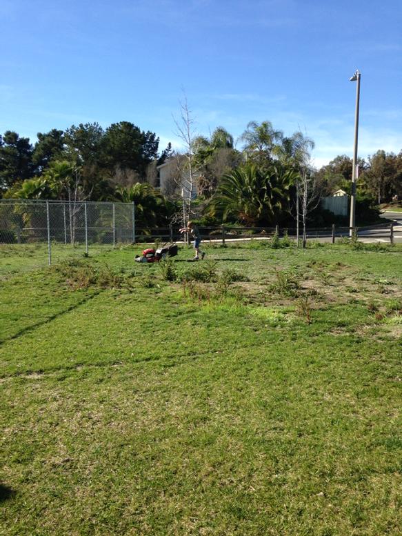 tammycre8's tweet photo. The weeds are as tall as the boy.😜 first mowing http://t.co/wmSaerqrIU