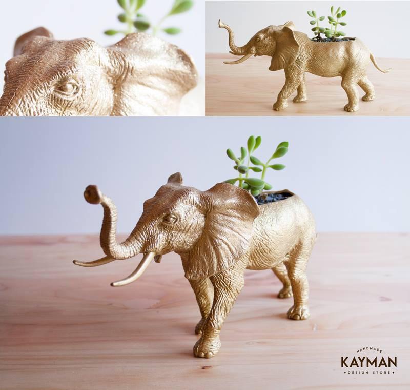 KaymanStore's tweet photo. Cactus Elefante dorado con escarcha. #cactus #golden #homedesign #design http://t.co/tY5aINBkKo