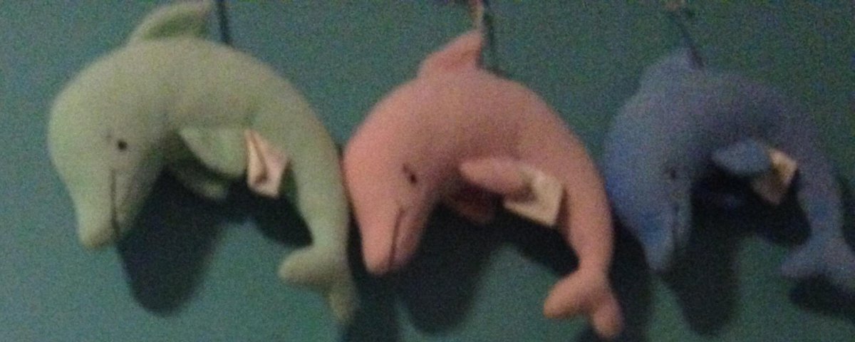 its_person's tweet photo. Just chillin http://t.co/RETCsFUL4c