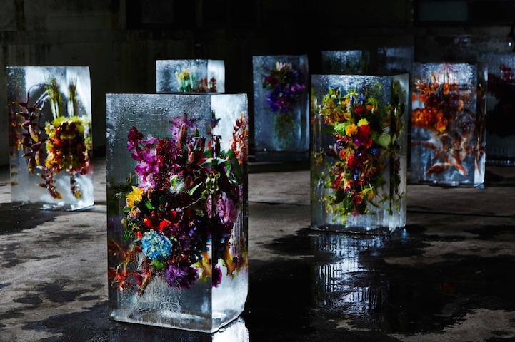 LexMontgomery's tweet photo. Gorgeous RT @tobysmithphoto: "@thinktanklondon: Colourful flowers frozen in ice http://t.co/9AN2lfpujK #art http://t.co/vrSgtVodAb"