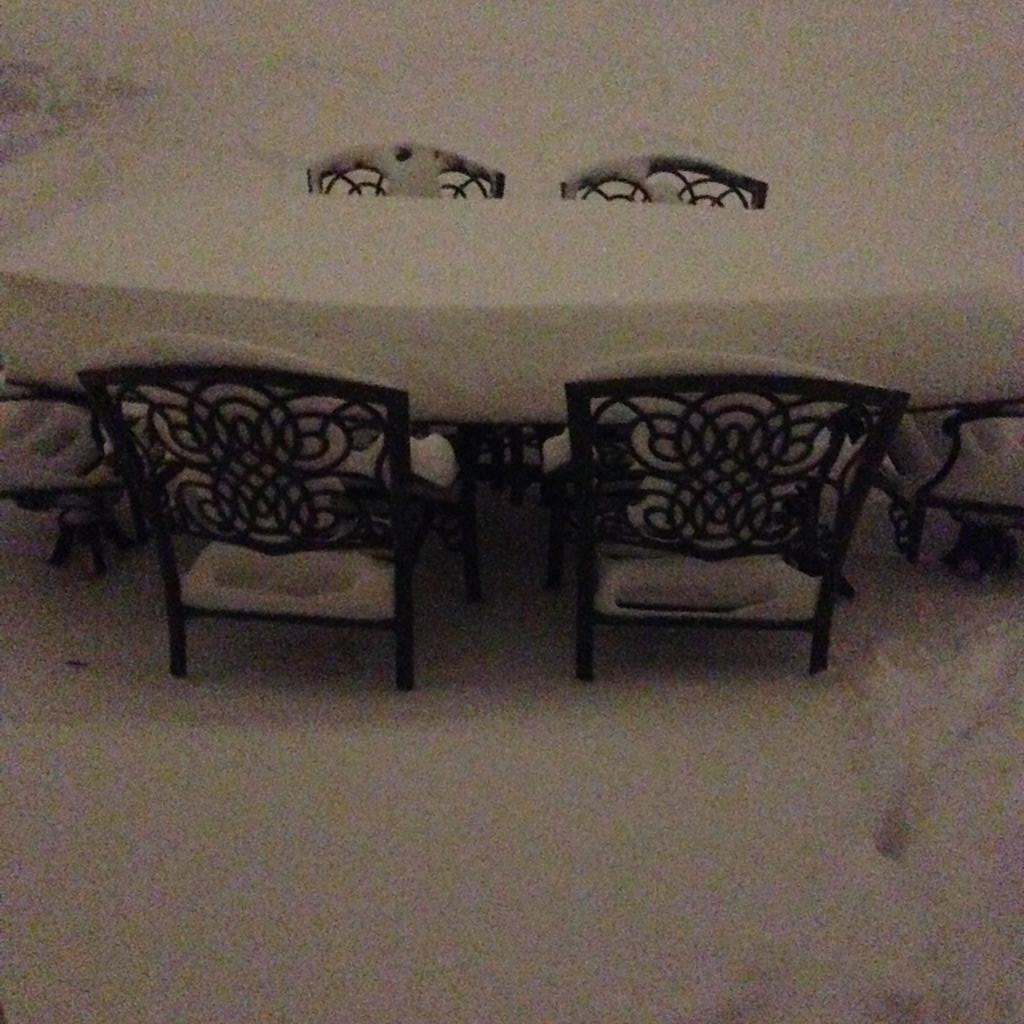 BaileyBooBooDog's tweet image. Blizzard of 2015 - brrrrrr!! ❄❄❄❄❄