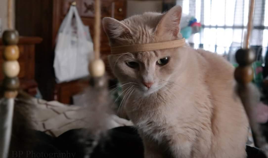 brdypps's tweet image. @slim_bradyy @illhueminati