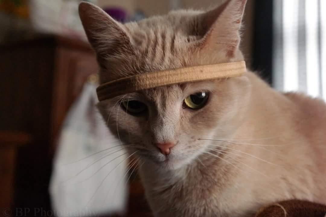 brdypps's tweet image. @slim_bradyy @illhueminati